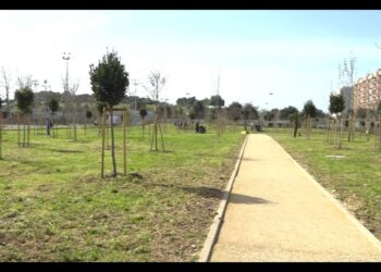 Si Inaugura A Japigia L’area Del Bosco Urbano Dedicato Alle Vittime Del Covid: “zona Riqualificata” – Video