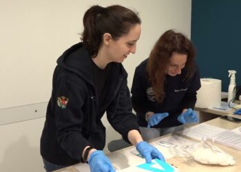 Test Gratuiti Per Epatite B, C E Hiv Al Polo Sociosanitario Di Bari: Tre Appuntamenti Alla Settimana – Video