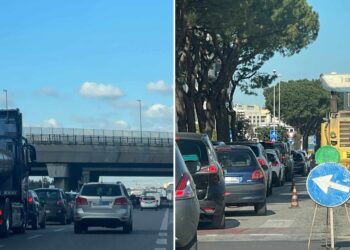 Traffico