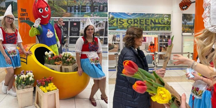 Tulipani Ev