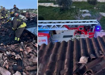 Vigili Del Fuoco Polign