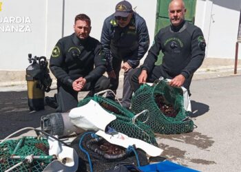 Finanza ricci di mare