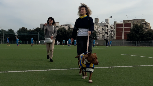 Cerignola Cane Abbandonato 2
