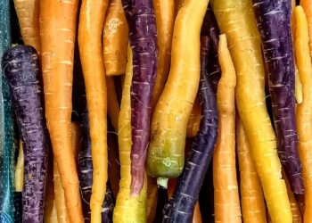 Carota Polignano