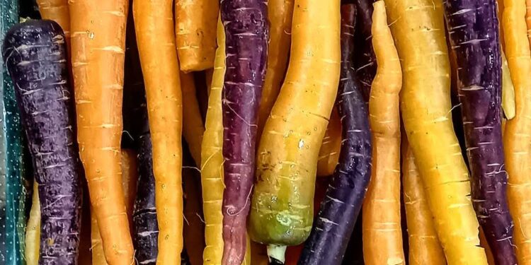 Carota Polignano