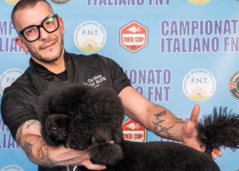 Cane Parrucchiere