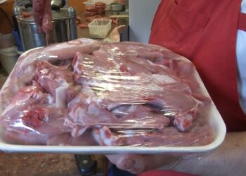Carne