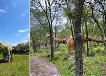 Dinosauri