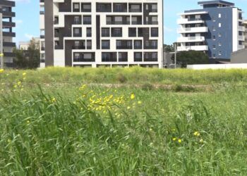 Parco Ex Fibronit