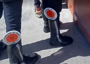 Polizia Locale Controlli
