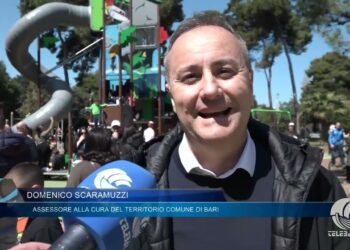 Tg Telebari Mattina 05 04 25