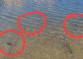 496769142 10228289849379003 1265456940823236571 N