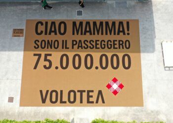 zerbino