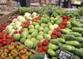 Gruppo Megamatk Famila Bari Ortofrutta 2