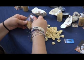 Bari, Cozze E Ostriche Come Cornici Per Gadget. L’idea Di Spaccabari: “lo Creiamo Insieme E Lo Porti Via” – Video