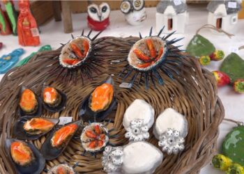Cozze