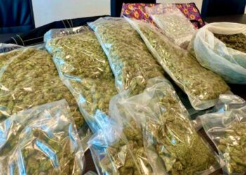 Marijuana