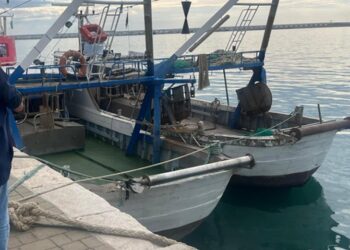 Navi Da Pesca Ev