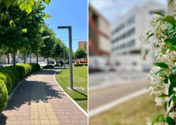 Policlinico Verde