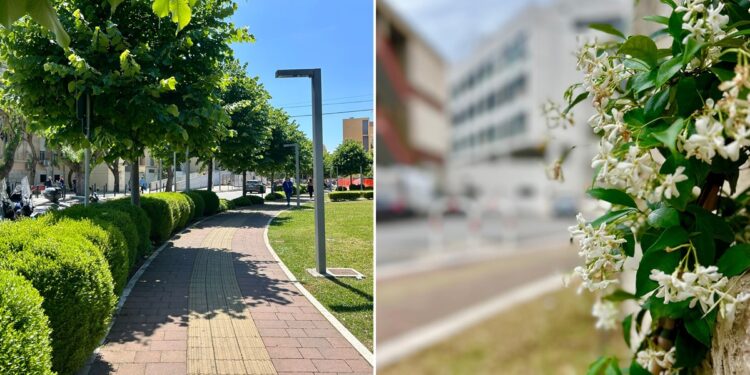 Policlinico Verde