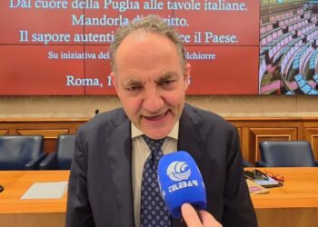 Roma, La Mandorla Di Toritto Si Presenta Al Senato. Melchiorre: “eccellenza Della Nostra Puglia” – Video