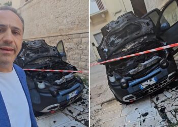 Terlizzi Auto Consigliere