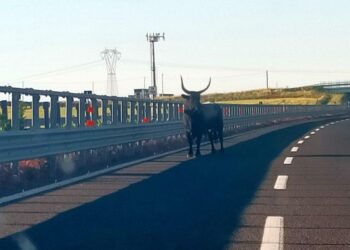 Toro Autostrada