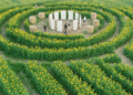 Girasoli