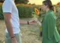 Girasoli