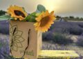 Girasoli