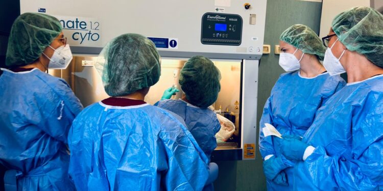 La Fase Di Preparazione Del Farmaco