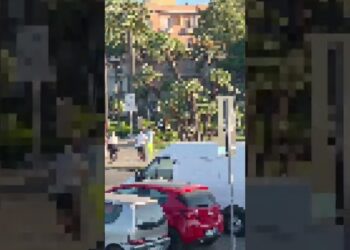 Bari, Lotta Ai Parcheggiatori Abusivi Al Molo San Nicola: Nuovo Intervento Dei Vigili. Una Denuncia – Video
