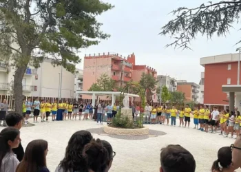 Bisceglie Maturità