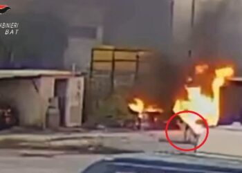 Cane Autoparco Bisceglie Incendio