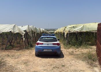 Carabiniere Ucciso Francavilla 5