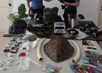 Carabinieri Droga Zanne