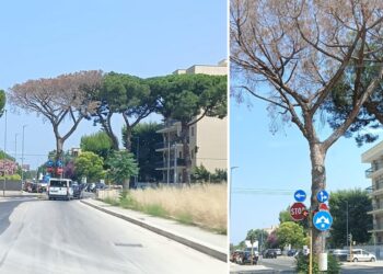 Corso De Gasperi