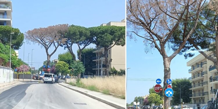 Corso De Gasperi