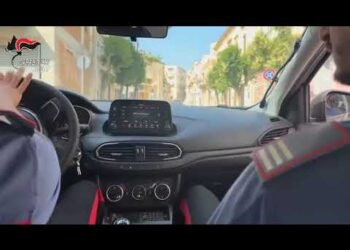 Estorsione Aggravata Da Metodo Mafioso, Armi Illegali E Droga: 19 Misure Cautelari A Bari E Canosa – Video