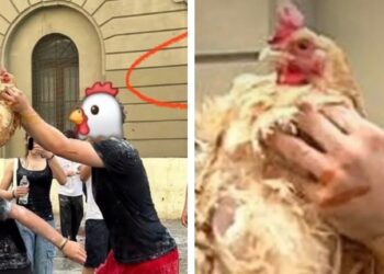 Gallina Liceo Scacchi Bari