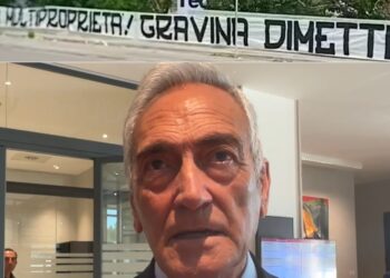 Gravina