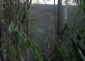 Incendio Vigili Del Fuoco (2)