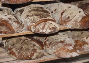 Pane