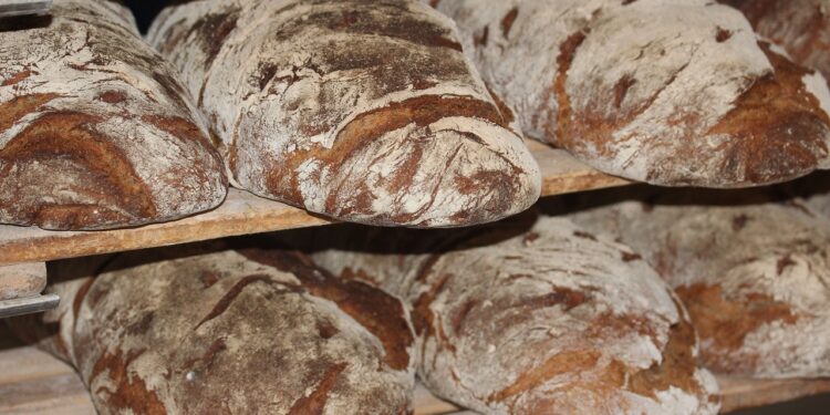 Pane