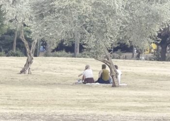 Parco 2 Giugno Giallo