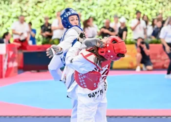 Taekwondo