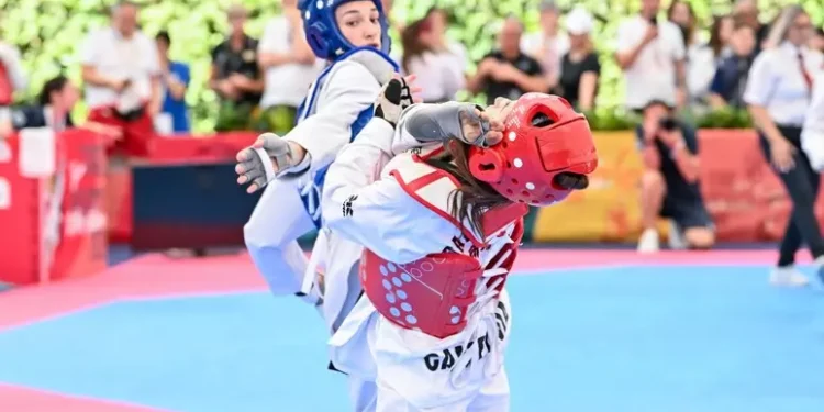 Taekwondo