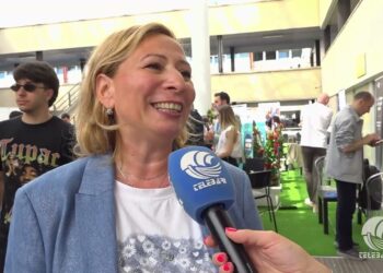 Tg Telebari Mattina 04 06 25