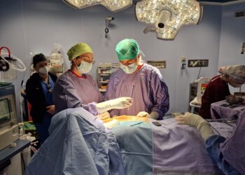 Tumore Seno Istituto Oncologico