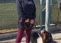 Angela E Cane Balto